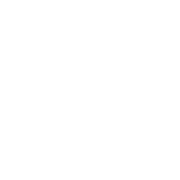 Fotografía Profesional